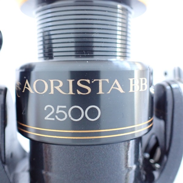 １０アオリスタＢＢ２５００